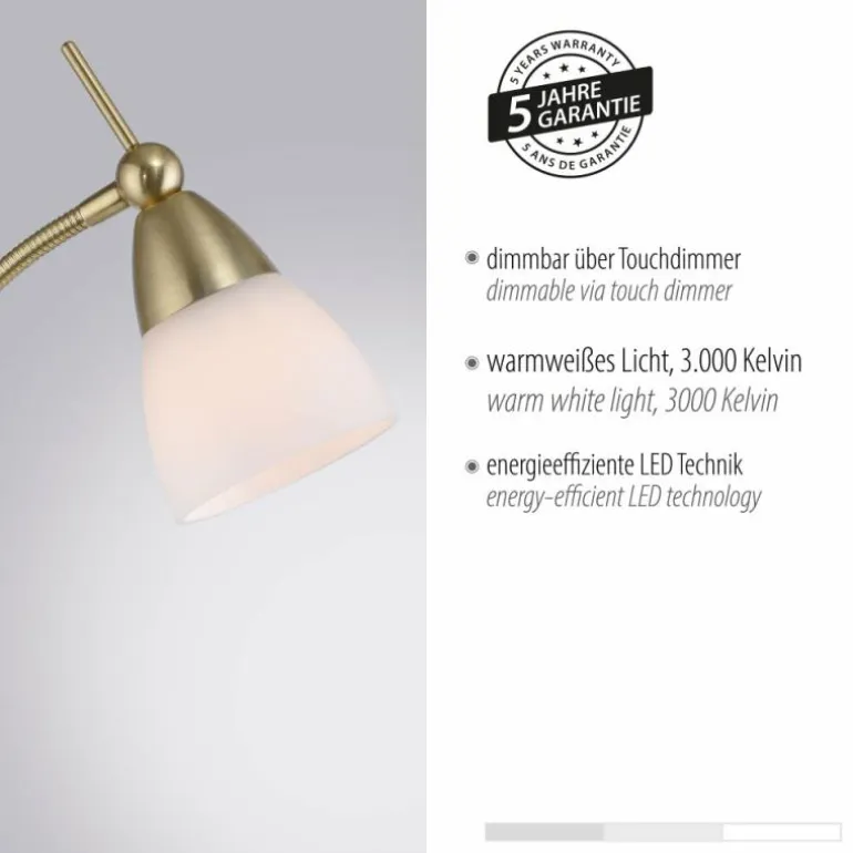 Lampadaire Paul Neuhaus PINO LED Laiton, 1 lumière