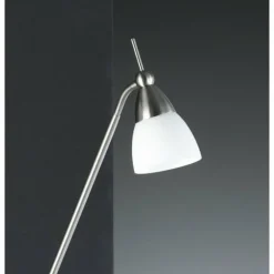 Lampadaire Paul Neuhaus PINO Acier inoxydable, 1 lumière