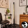 Lampadaire Rodeche LED Nickel mat, Noir, 1 lumière