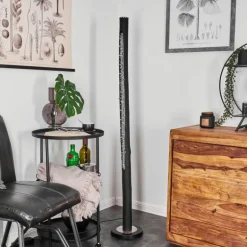 Lampadaire Rodeche LED Nickel mat, Noir, 1 lumière