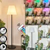 Lampadaire solaire d'extérieur Fisao LED Noir, 41 lumières, Télécommandes