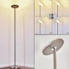 Lampadaire Wonsbek LED Nickel mat, 1 lumière