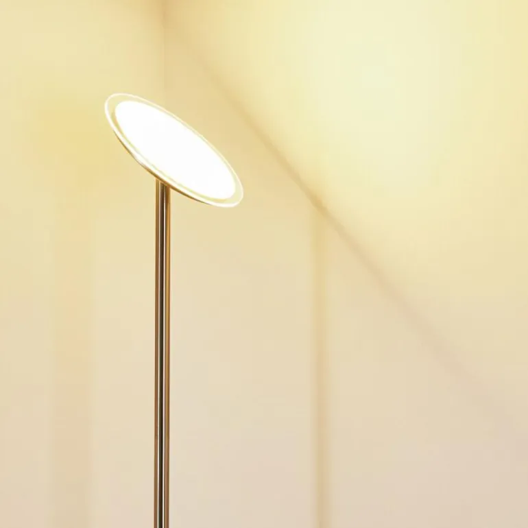 Lampadaire Wonsbek LED Nickel mat, 1 lumière