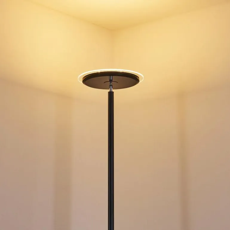 Lampadaire Wonsbek LED Noir, 1 lumière