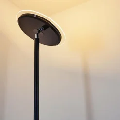 Lampadaire Wonsbek LED Noir, 1 lumière