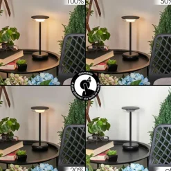 Lampe à poser Baigorrita LED Noir, 1 lumière