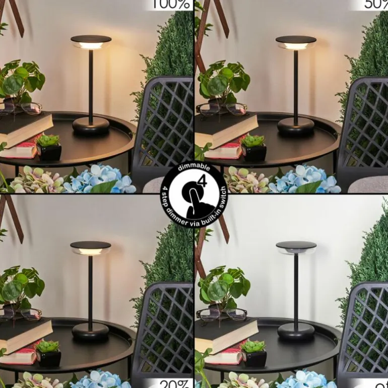 Lampe à poser Baigorrita LED Noir, 1 lumière