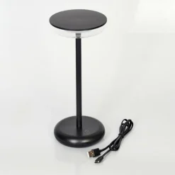 Lampe à poser Baigorrita LED Noir, 1 lumière