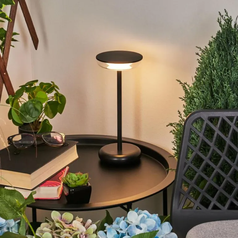 Lampe à poser Baigorrita LED Noir, 1 lumière