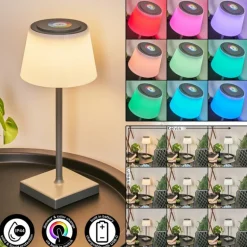 Lampe à poser Burzaco LED Anthracite, 1 lumière, Changeur de couleurs