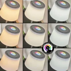 Lampe à poser Burzaco LED Anthracite, 1 lumière, Changeur de couleurs