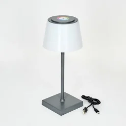 Lampe à poser Burzaco LED Anthracite, 1 lumière, Changeur de couleurs