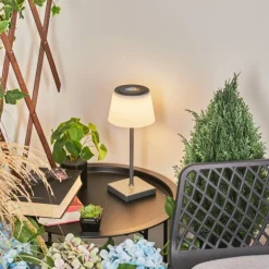 Lampe à poser Burzaco LED Anthracite, 1 lumière, Changeur de couleurs
