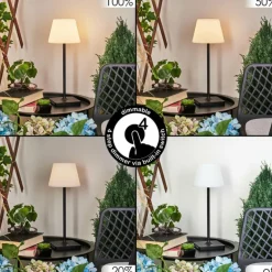 Lampe à poser Mayordomo LED Noir, 1 lumière