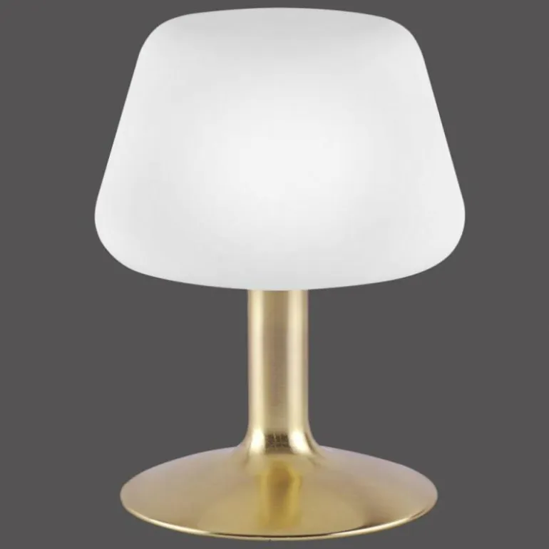 Lampe à poser Paul Neuhaus TILL LED Laiton, 1 lumière