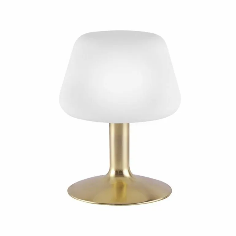 Lampe à poser Paul Neuhaus TILL LED Laiton, 1 lumière