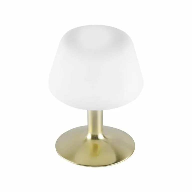 Lampe à poser Paul Neuhaus TILL LED Laiton, 1 lumière