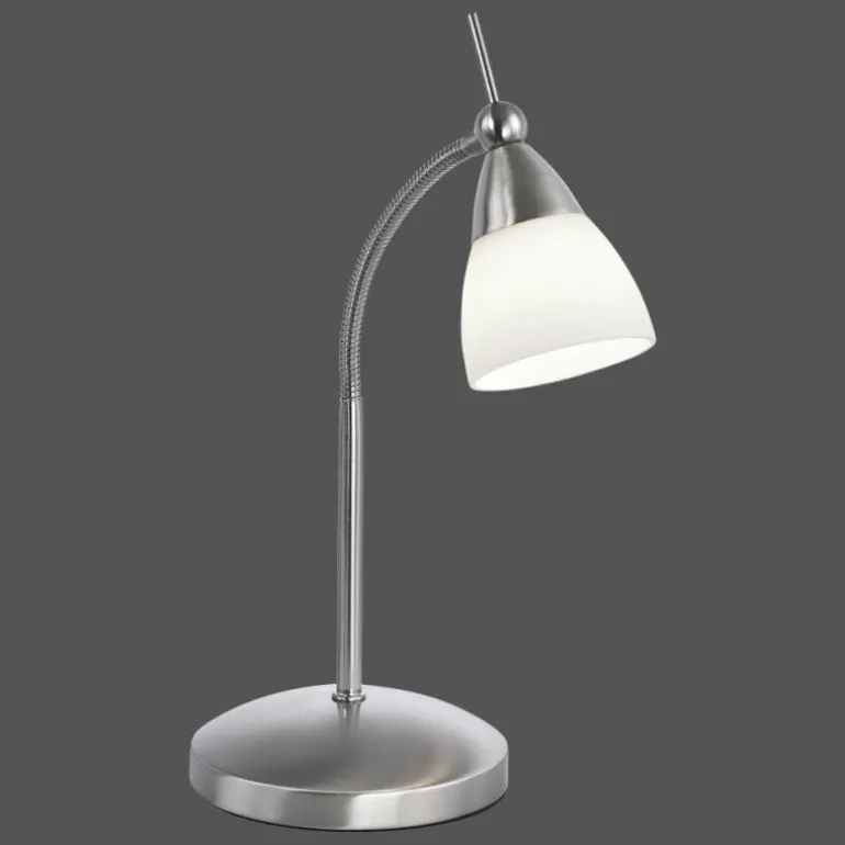 Lampe à poser Paul Neuhaus PINO LED Acier inoxydable, 1 lumière