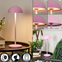 Lampe à poser Pelaro LED Rose, 1 lumière