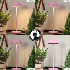 Lampe à poser Pelaro LED Rose, 1 lumière