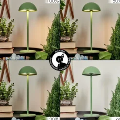Lampe à poser Pelaro LED Vert, 1 lumière