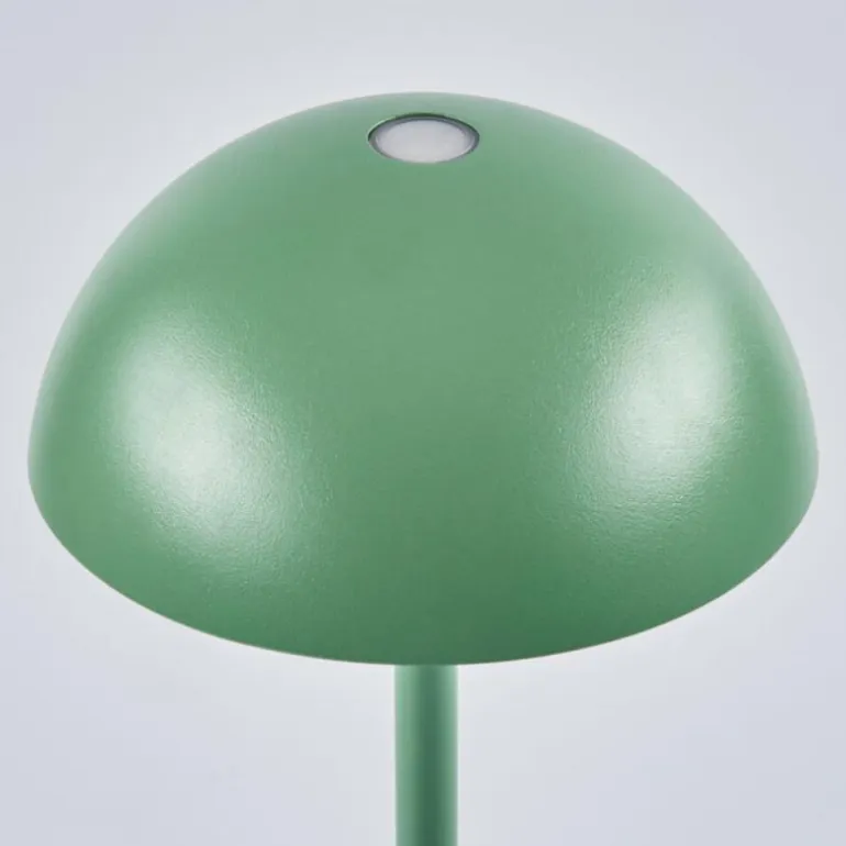 Lampe à poser Pelaro LED Vert, 1 lumière