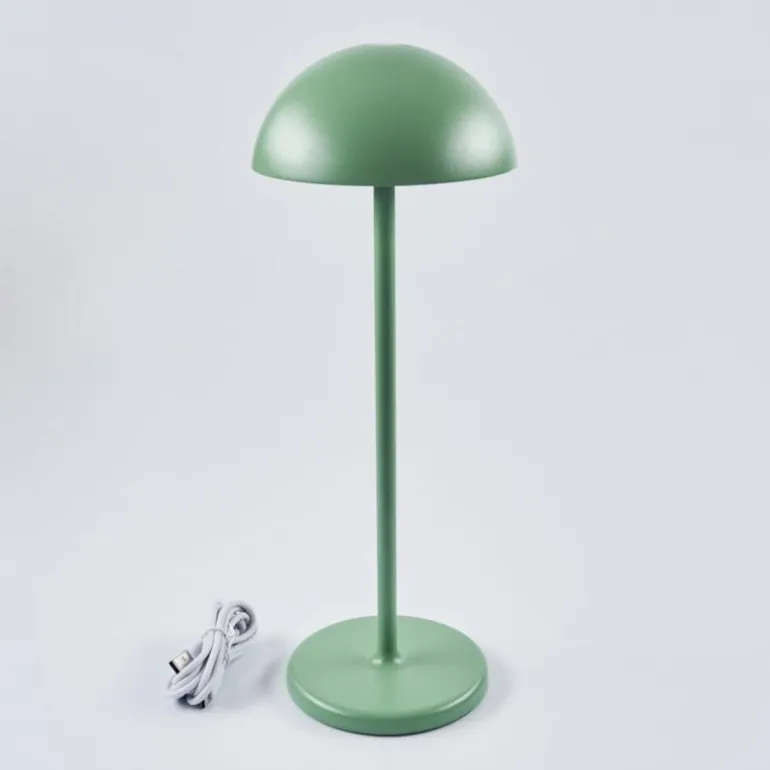 Lampe à poser Pelaro LED Vert, 1 lumière