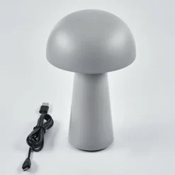 Lampe à poser Telve LED Gris, 1 lumière