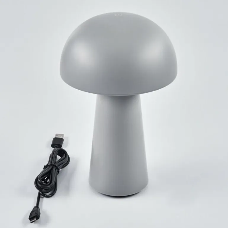 Lampe à poser Telve LED Gris, 1 lumière