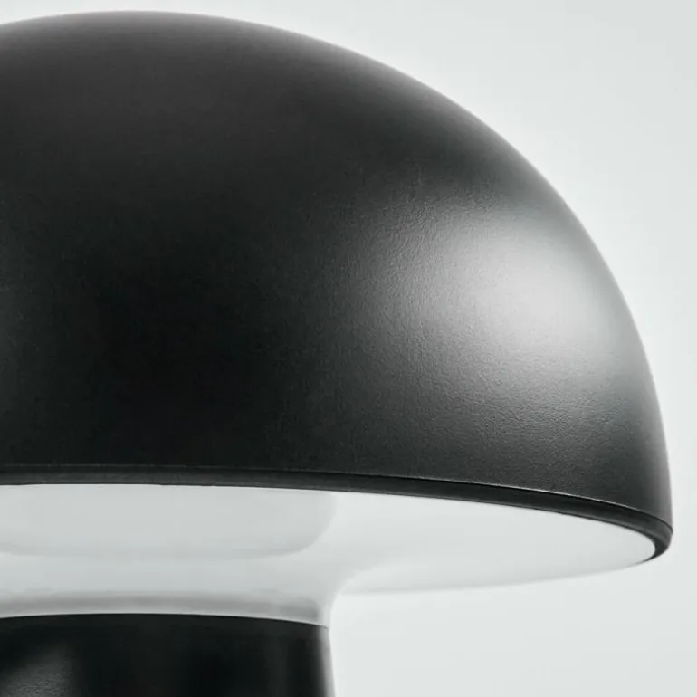 Lampe à poser Telve LED Noir, 1 lumière