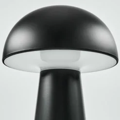 Lampe à poser Telve LED Noir, 1 lumière