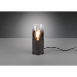 Lampe à poser Trio Leuchten ROBIN Noir, 1 lumière