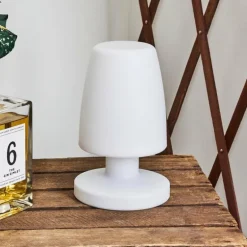 Lampe à poser Vallardo LED Blanc, 1 lumière