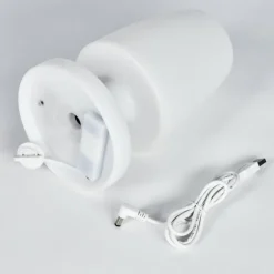 Lampe à poser Vallardo LED Blanc, 1 lumière