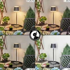 Lampe à poser Walt LED Anthracite, 1 lumière