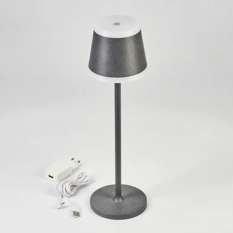 Lampe à poser Walt LED Anthracite, 1 lumière