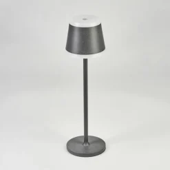 Lampe à poser Walt LED Anthracite, 1 lumière