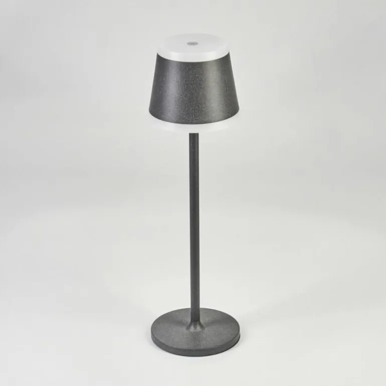 Lampe à poser Walt LED Anthracite, 1 lumière