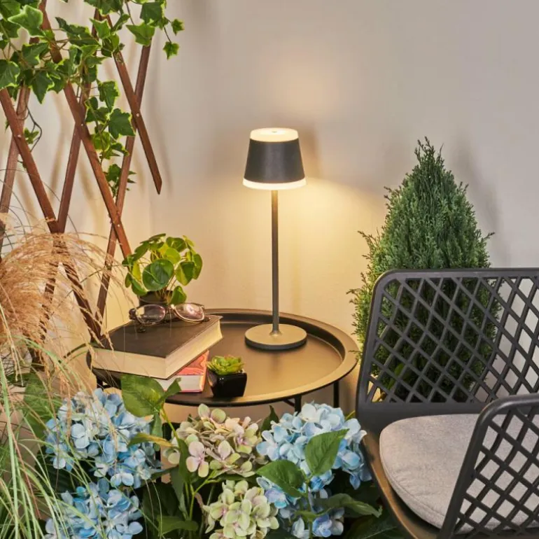 Lampe à poser Walt LED Anthracite, 1 lumière