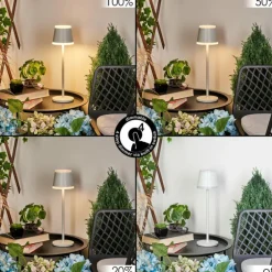 Lampe à poser Walt LED Gris, 1 lumière