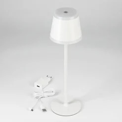 Lampe à poser Walt LED Gris, 1 lumière