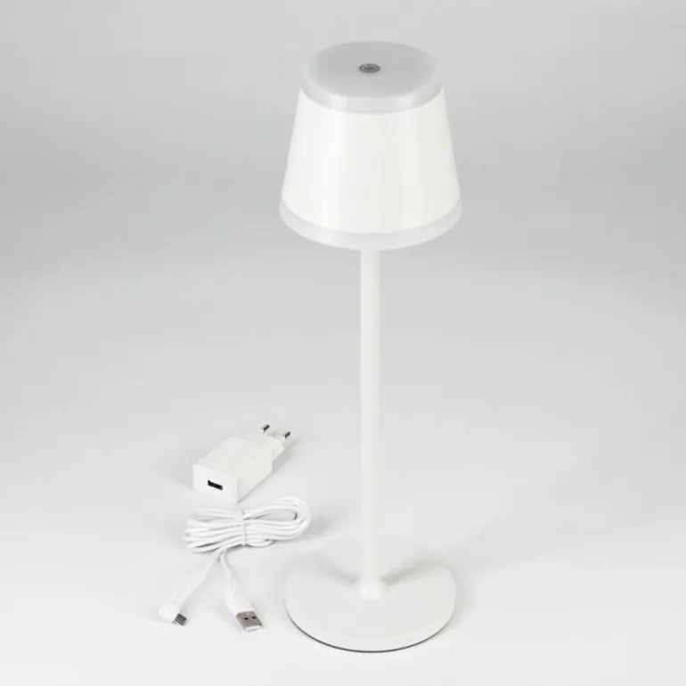 Lampe à poser Walt LED Gris, 1 lumière