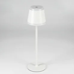 Lampe à poser Walt LED Gris, 1 lumière