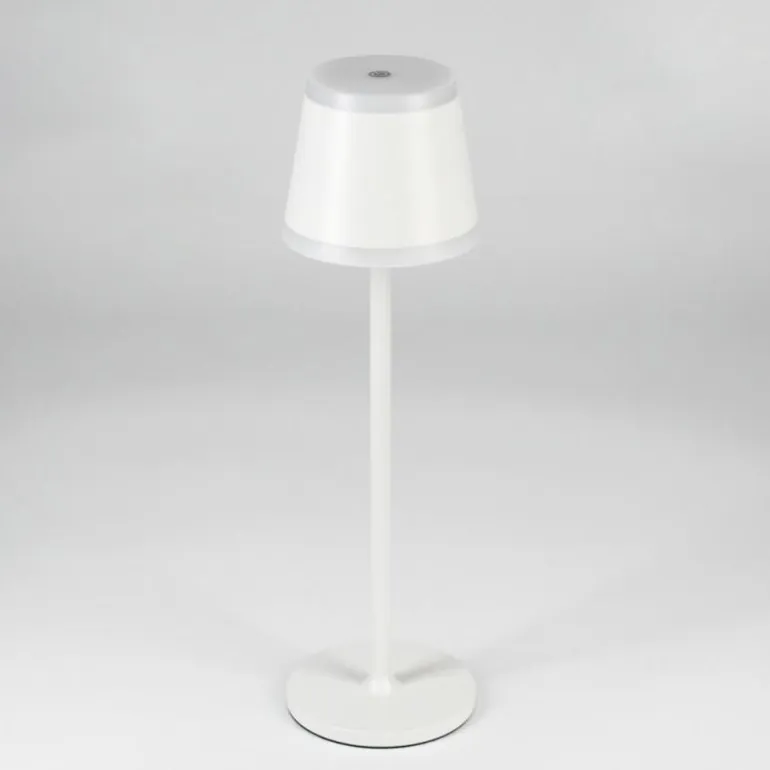 Lampe à poser Walt LED Gris, 1 lumière
