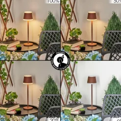Lampe à poser Walt LED Rouille, 1 lumière