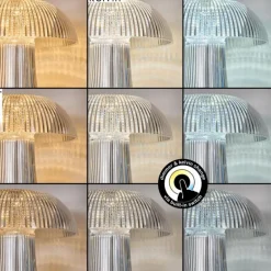 Lampe Champignon Balsa Lampe à poser LED Transparent, 1 lumière