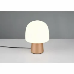 Lampe Champignon Steen Lampe à poser Luminaires Trio Brun, 1 lumière