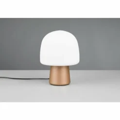 Lampe Champignon Steen Lampe à poser Luminaires Trio Brun, 1 lumière