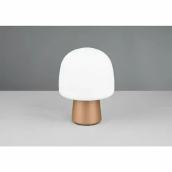 Lampe Champignon Steen Lampe à poser Luminaires Trio Brun, 1 lumière