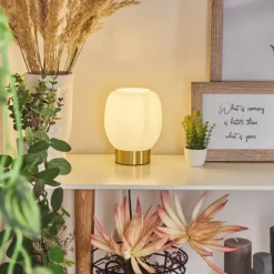 Lampe de table Pintacura Laiton, 1 lumière